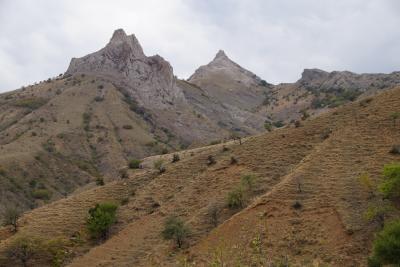 Прикрепленное изображение: A58DSC04377.jpg